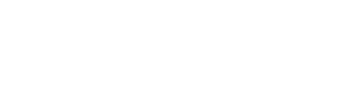 Sponsor